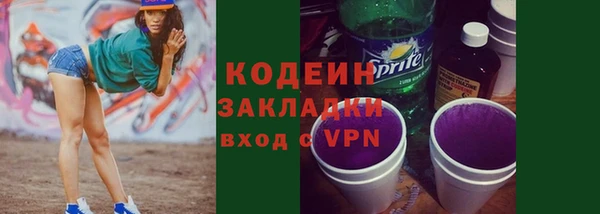 хмурый Кодинск