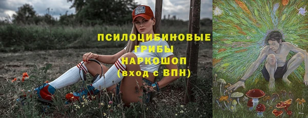 ALPHA-PVP Козловка