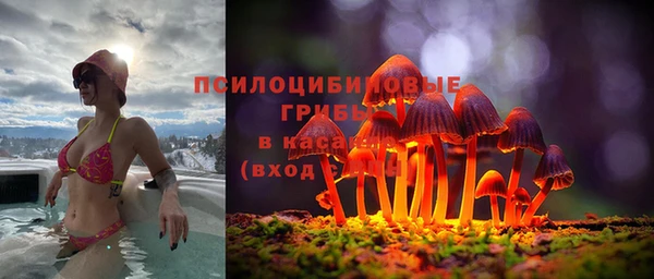 мдпв Корсаков